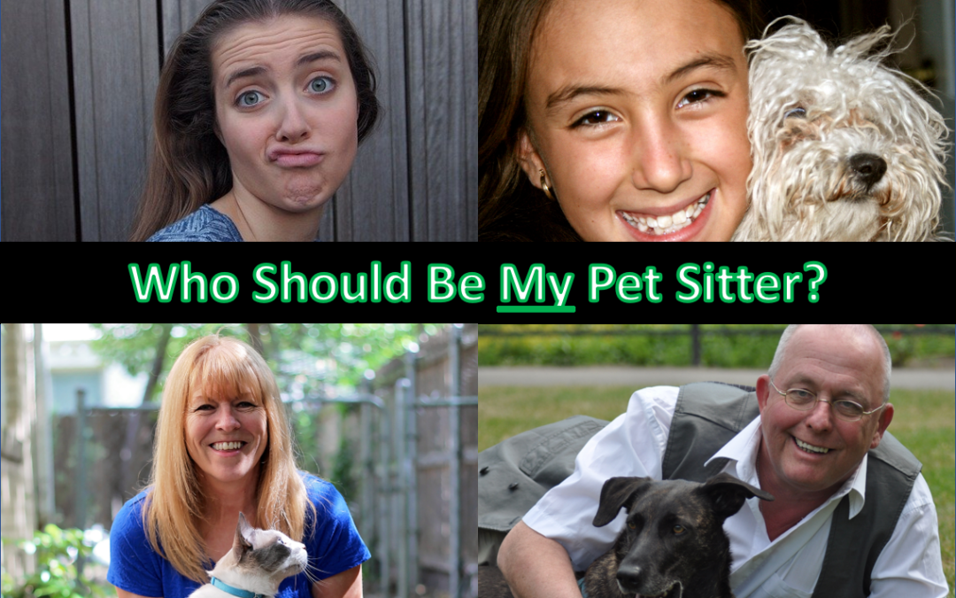 Having Your Neighbor Care for Your Pet vs Hiring a Professional Dallas Pet Sitting Service