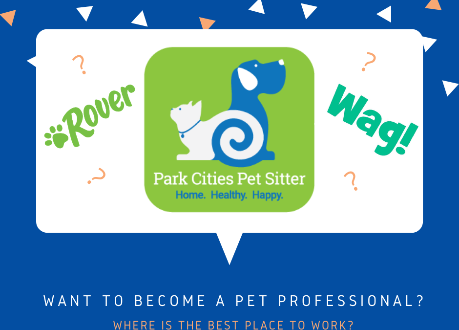 Why Work for PCPSI Instead of for Wag! or Rover