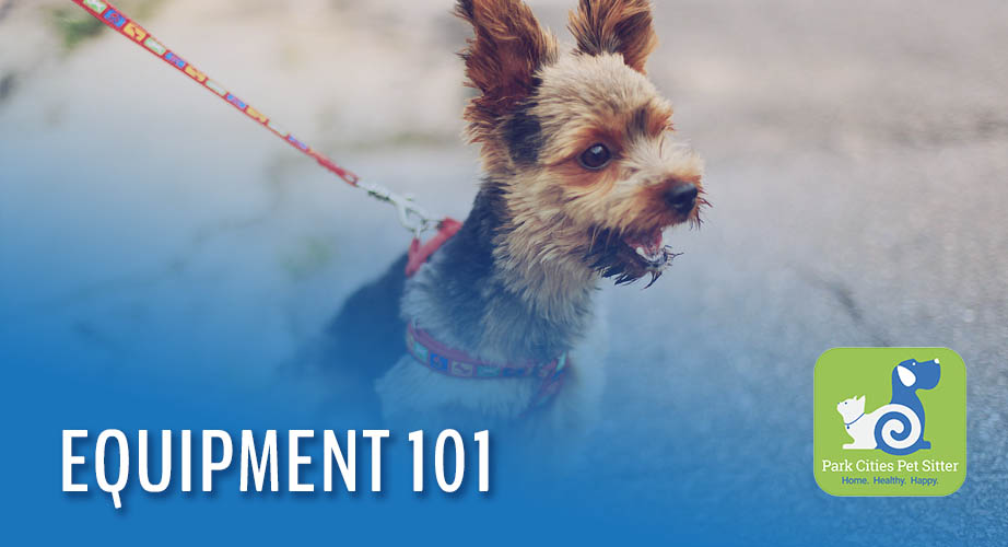 A dog on a leash with the words "Equipment 101"