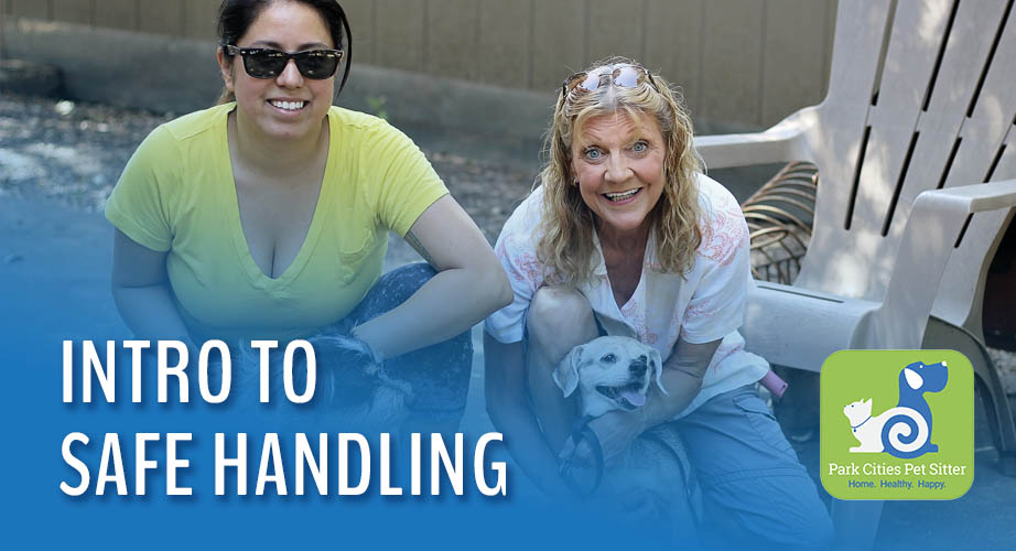 two pet sitters with two dogs and the words "Intro to Safe Holding"