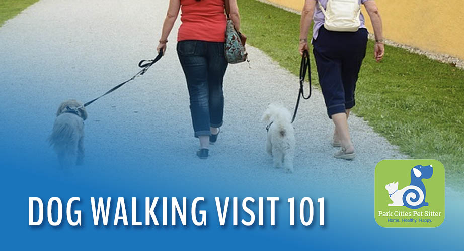 two women walking dogs with the words "Dog Walking Visit 101"