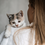 woman with kitten dallas animal shelter