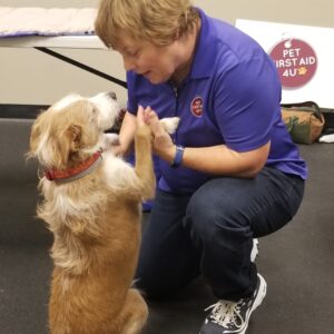 arden moore pet first aid 4u dallas