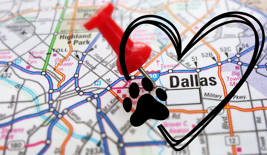 Celebrating National Shelter Appreciation Week in Dallas