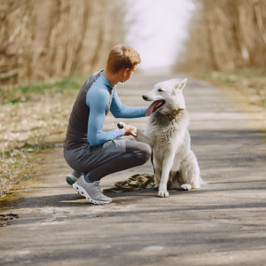dog walking with owner in dallas, texas
