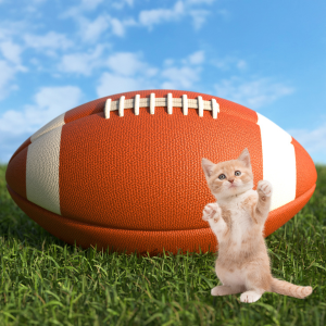 cat with football on football field Puppy Bowl XXI