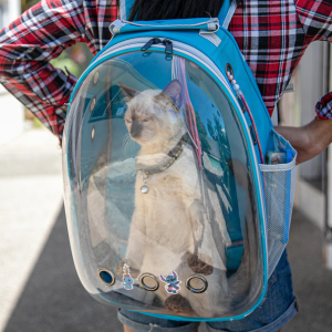 cat in backpack dallas texas