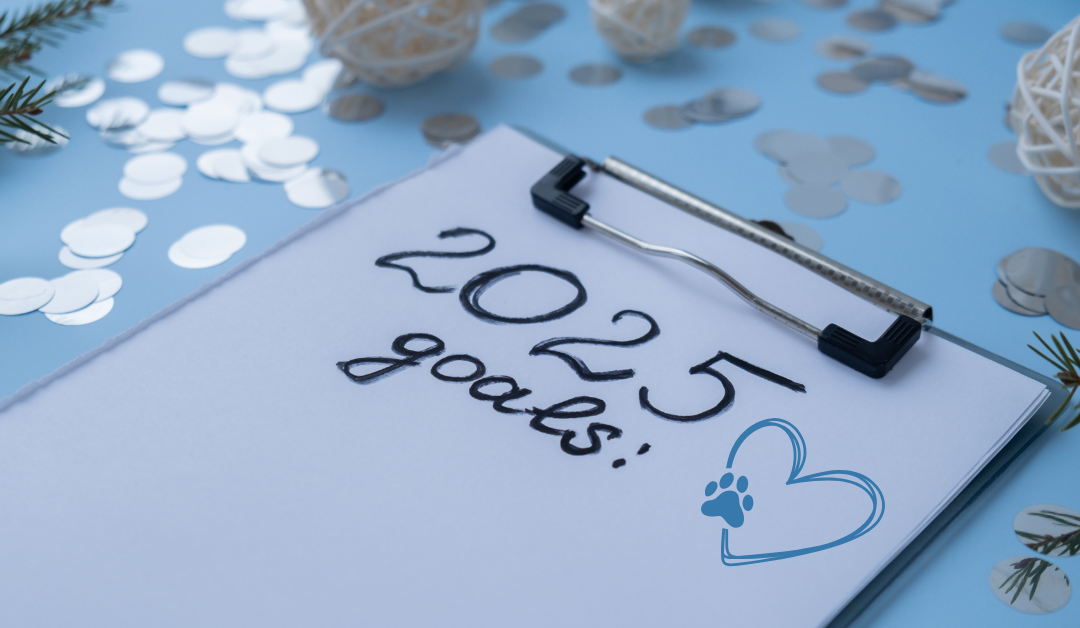 Top 4 New Year’s Resolutions for Dallas Pet Parents