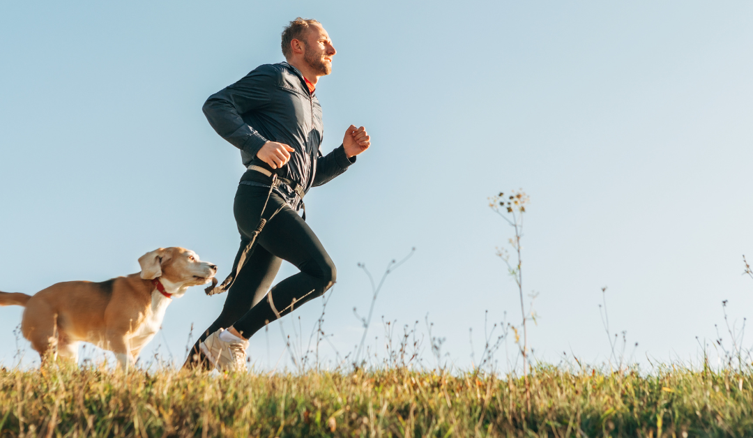 The Top Benefits of Exercise for Pets and Humans