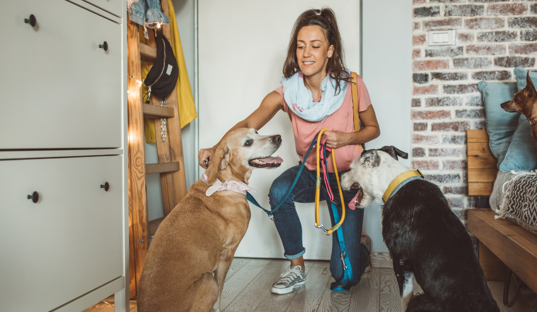 Celebrating Professional Pet Sitters Week 2025: Honoring the Unsung Heroes of Pet Care