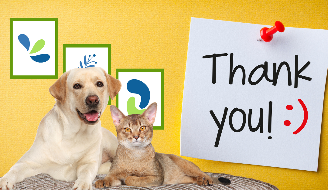 Today is Thank Your Pet Sitter Day™: Our Top Ways to Say “Thank You!”