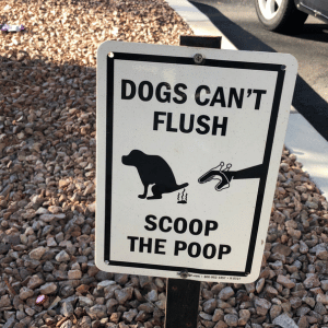 sign in Dallas that says Dogs Can't Flush Scoop the Poop