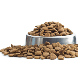 Bowl of Kibble Dog Food