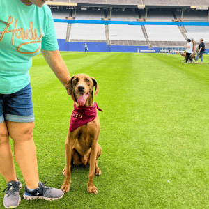 dog and dog mom at Dog Bowl Dallas, Texas