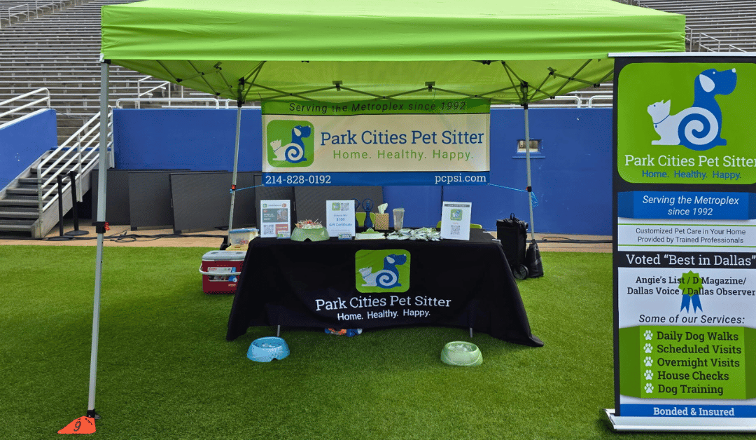 Meeting Dallas Pets & Their Parents in the Wild: Dallas Dog Bowl 2025