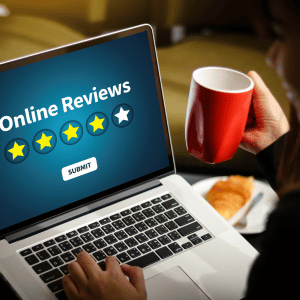 Dallas pet parent reviewing online reviews for boarding facility and pet sitter