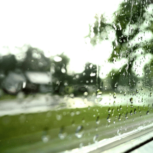 summer storm from window in Dallas Texas Preparing Dallas Homes and Pets for Summer Storms