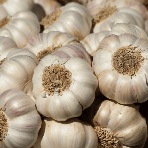 garlic bulbs