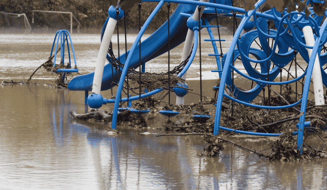 Flash Floods and Pet Safety in the Dallas Metroplex