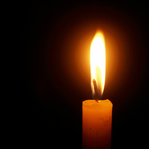 candle pet memorial day dallas