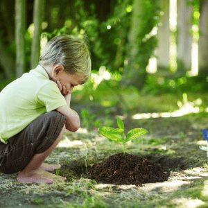 child planting a tree for his pet Reflection on Pet Memorial Days