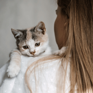 kitten on pet parent's shoulder in a Dallas home