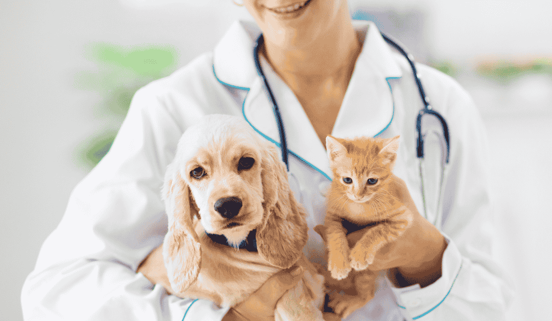 PCPSI’s Go-To Dallas Metroplex Veterinarians