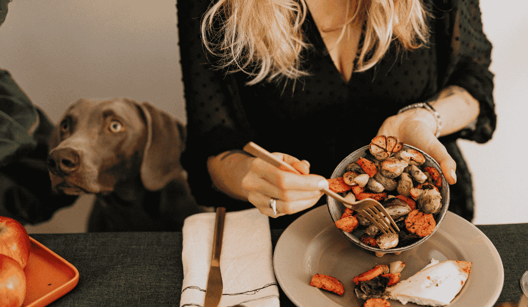 Pancreatitis Patrol: Say ‘No’ to Table Scraps and Protect Your Pet’s Digestion