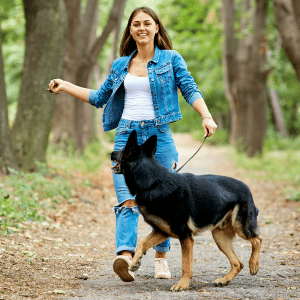 dog walking in Dallas with PCPSI dog walker dog sitter