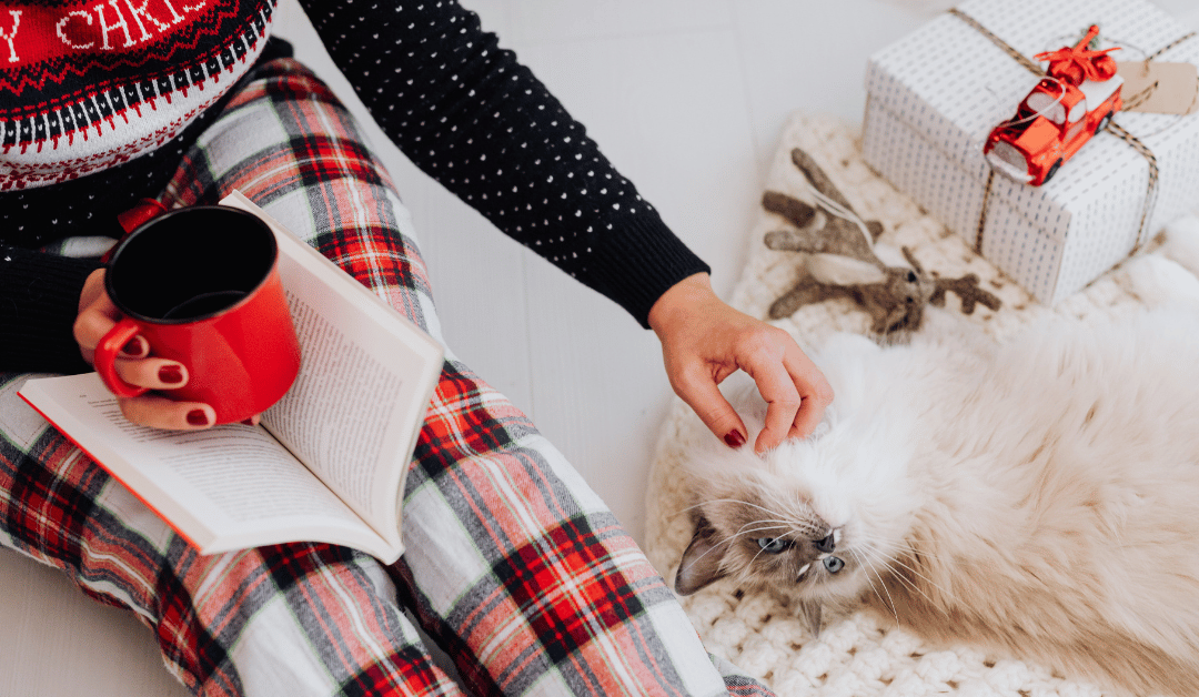 What Professional Pet Sitters See During the Holidays (That You Might Miss)