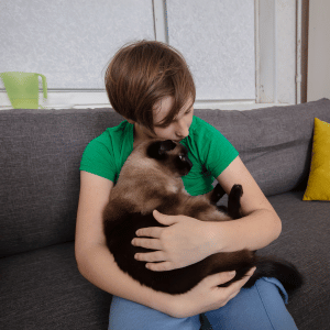 cat with cat sitter Dallas, TX