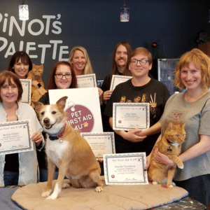 Pet First Aid 4U Class in Dallas, Texas