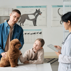 dog at vet with owners in Dallas, Texas
