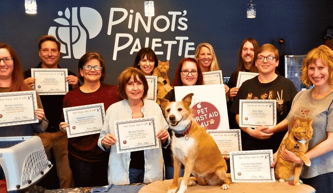 Arden Moore Brings Pet First Aid Training to Dallas and Beyond