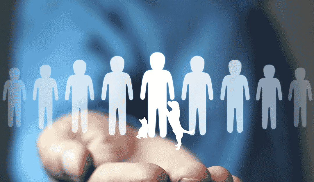 How We Recruit, Vet, and Train the Best Pet Sitters and Dog Walkers in Dallas